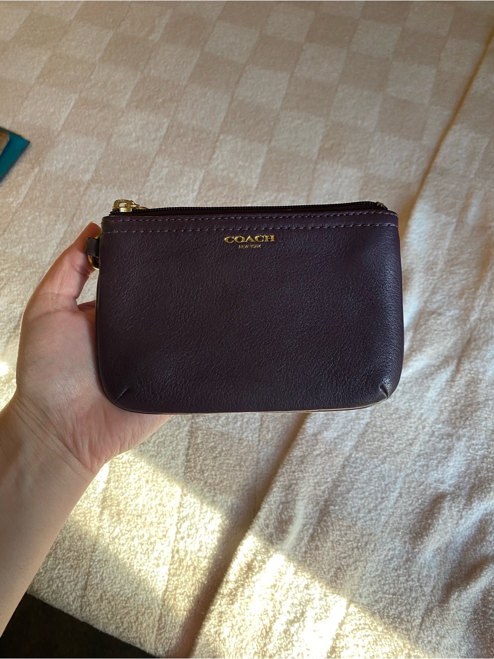 Coach Small Zip Pouch in Deep Plum